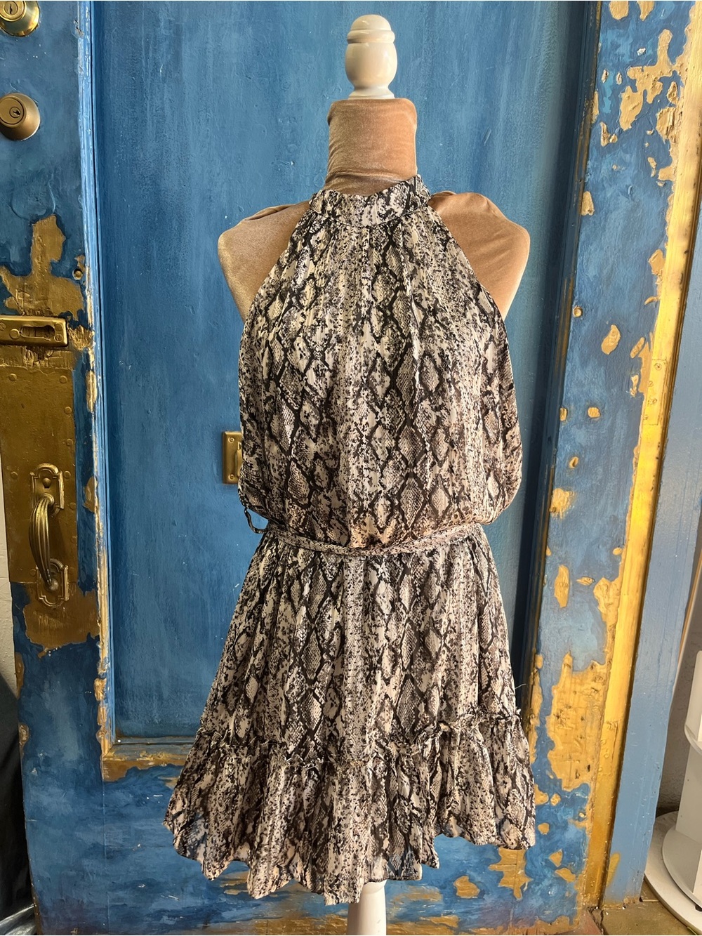Aqua Snake-Print Halter Mini Dress in Black and Cream